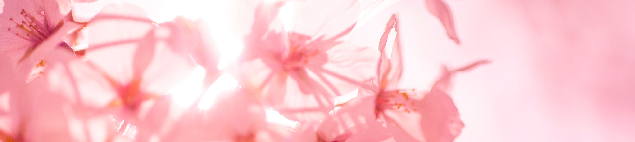 Lesson メイクレッスン